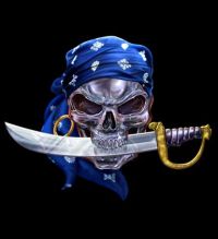 PIRATE9158